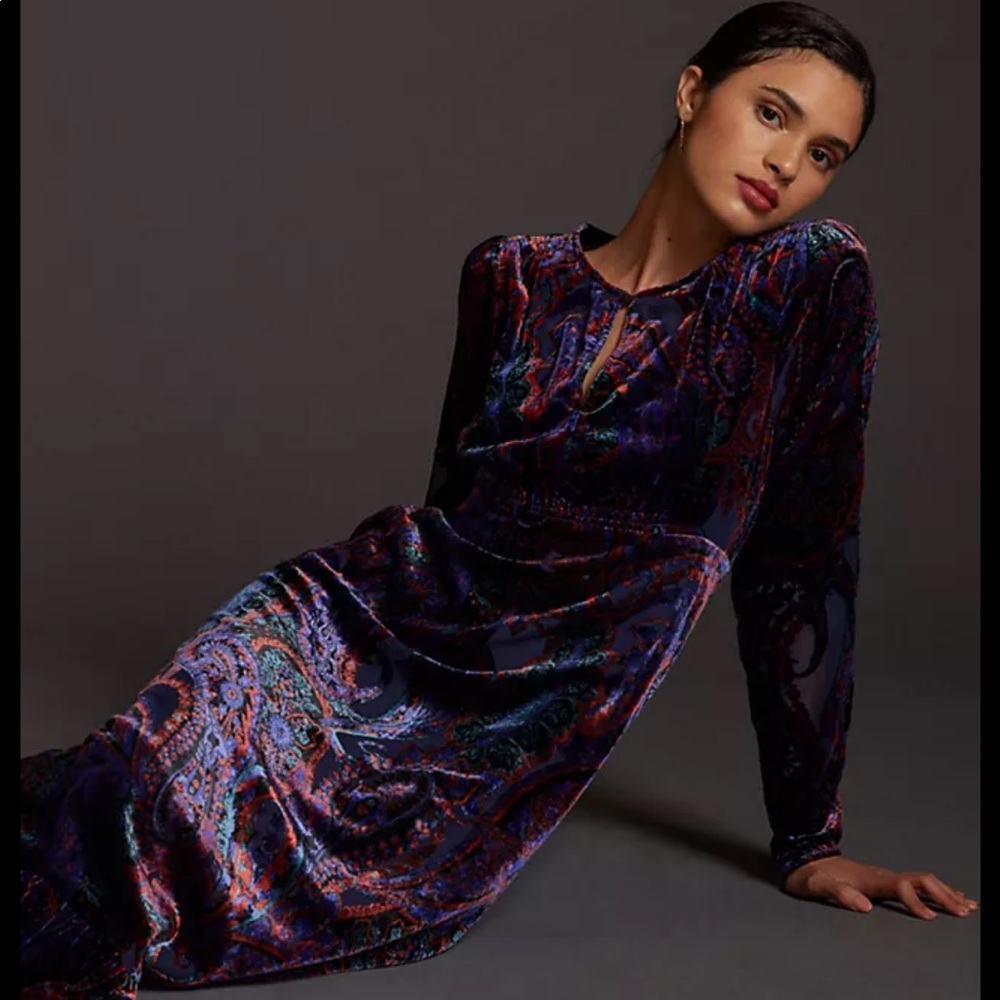 Anthropologie Burnout Velvet Maxi Dress NWT size: 2